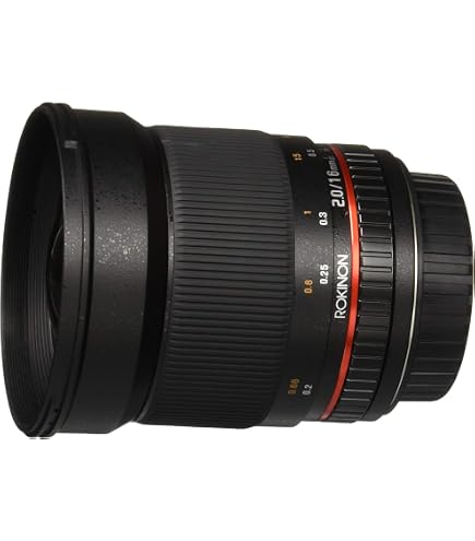 Amazon.com : Tokina AT-X 116 PRO DX-II 11-16mm f/2.8 Lens for